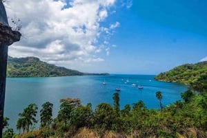 Ciudad de Panamá: Tour por la selva, el arrecife y Venas Azules de Portobelo