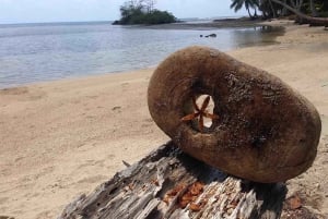 Ciudad de Panamá: Tour por la selva, el arrecife y Venas Azules de Portobelo