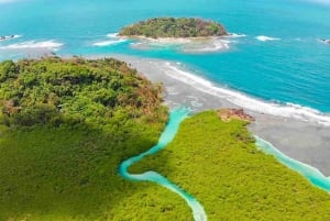 Ciudad de Panamá: Tour por la selva, el arrecife y Venas Azules de Portobelo