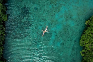 Ciudad de Panamá: Tour por la selva, el arrecife y Venas Azules de Portobelo