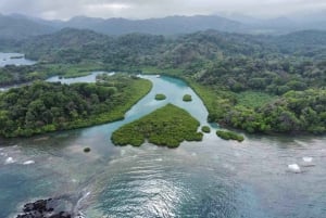 Ciudad de Panamá: Tour por la selva, el arrecife y Venas Azules de Portobelo