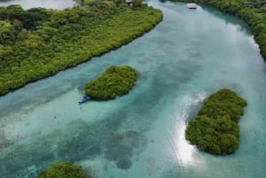 Ciudad de Panamá: Tour por la selva, el arrecife y Venas Azules de Portobelo