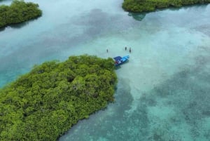 Ciudad de Panamá: Tour por la selva, el arrecife y Venas Azules de Portobelo