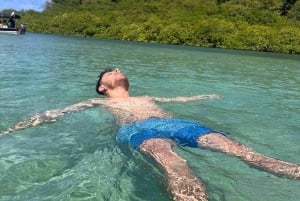 Ciudad de Panamá: Tour por la selva, el arrecife y Venas Azules de Portobelo