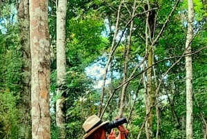 Private Tour durch Panama City: Gestalte deine eigene Reiseroute nach deinen Wünschen.