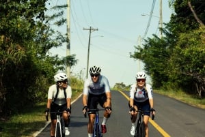 Ciudad de Panamá: tour de entrenamiento en bicicleta de carretera con servicio de recogida del hotel