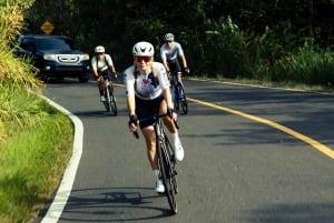 Ciudad de Panamá: tour de entrenamiento en bicicleta de carretera con servicio de recogida del hotel