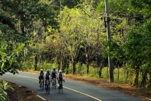 Cidade do Panamá: passeio de treino de bicicleta de estrada com serviço de busca no hotel