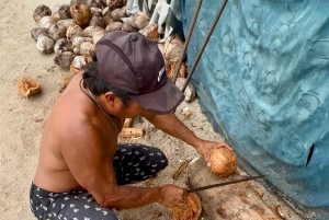 Panama City: San Blas Islands 2-Night Sailboat Tour w/ Meals