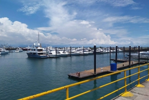 Ciudad de Panamá: tour de la ciudad y esclusas de Miraflores