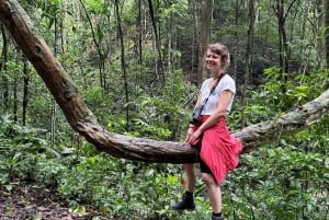 Panama City : Randonnée dans le parc national de Soberania