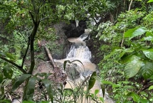 Panama Stad: Wandeltocht door het nationale park Soberania