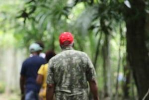 Panama City: Soberania National Park Private Rainforest Hike