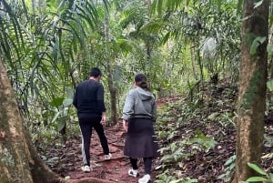 Panama City: Soberania National Park Private Rainforest Hike