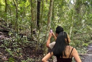 Panama Stad: Soberania Nationaal Park privéwandeling door het regenwoud