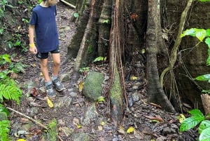 Panama Stad: Soberania Nationaal Park privéwandeling door het regenwoud