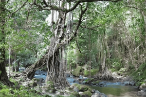 Panama City: Ultimate ATV Jungle & Volcano Adventure