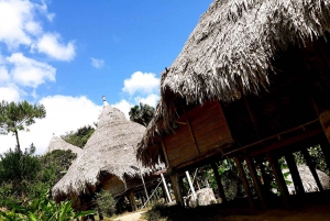 Panama City: Visit our Emberá Indigenous Culture, jungle and waterfalls.