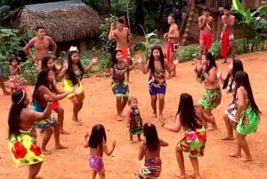 Panama City: Visit our Emberá Indigenous Culture, jungle and waterfalls.