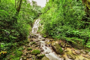 Cidade do Panamá: Aventura privada de ATV na selva e nas cascatas