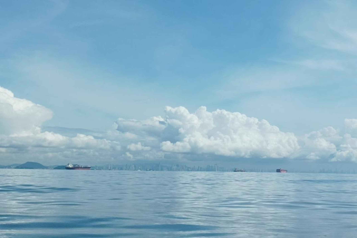 Panama City: Whale Watching Tour with Island Stop