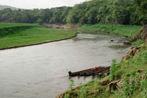 Panama: tour privato della comunità Embera e del Santuario dei bradipi
