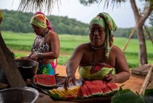 Panama: tour privato della comunità Embera e del Santuario dei bradipi