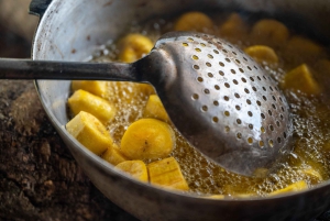 Panama: Embera Community and Sloth Sanctuary Private Tour