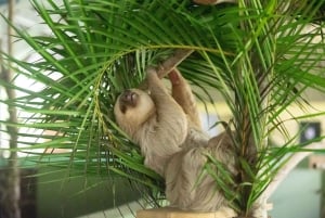 Panama: Embera Community and Sloth Sanctuary Private Tour