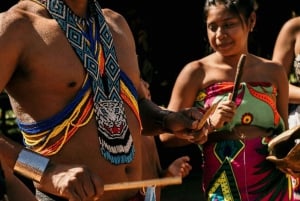 Panama: Embera by och vattenfallstur