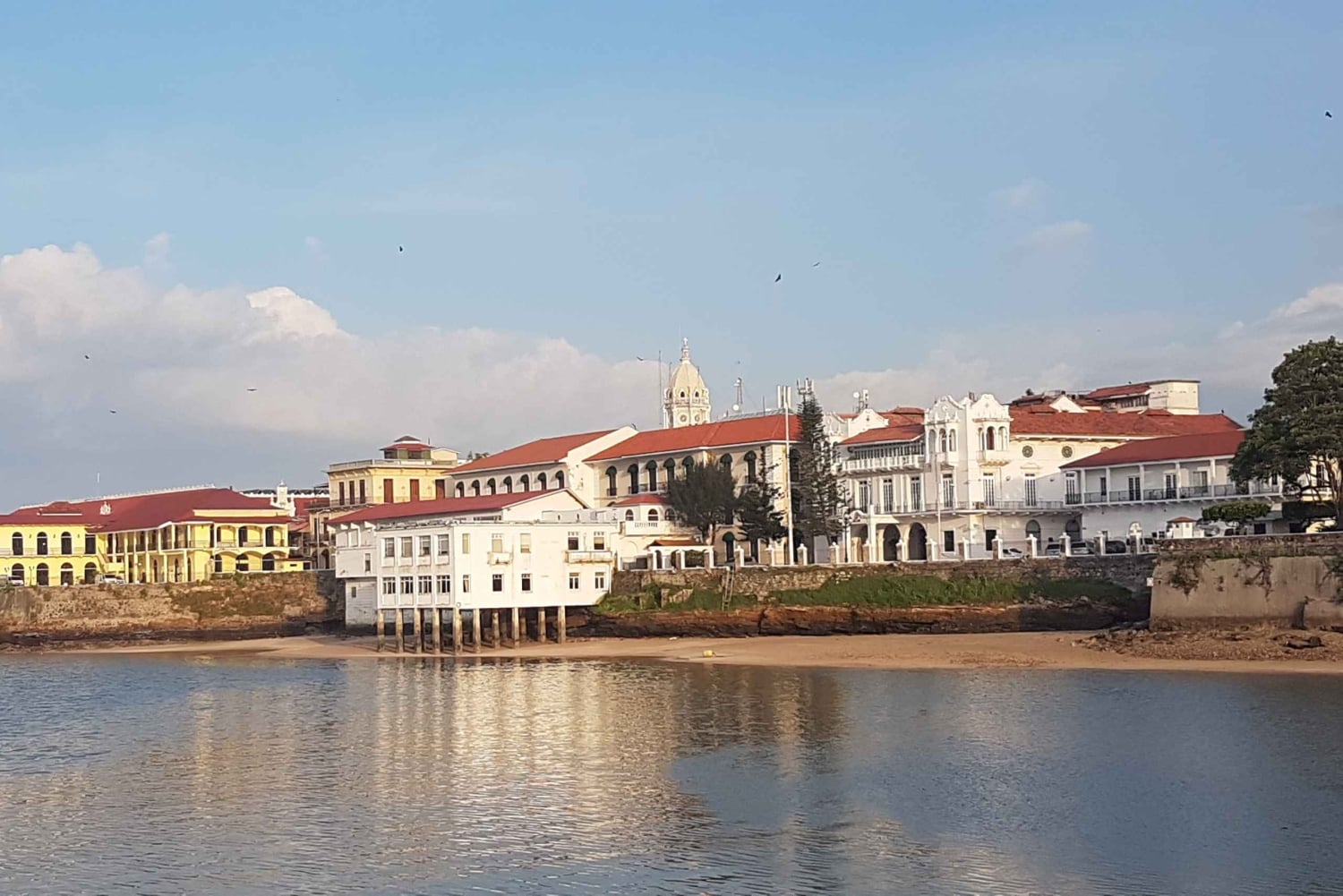 Panama Evening Food Tour