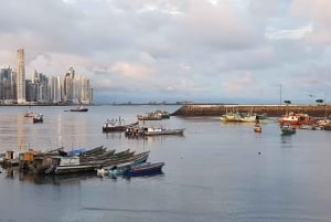 Panama: Food-Tour am Abend