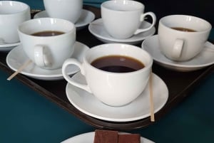 Panama Evening Food Tour