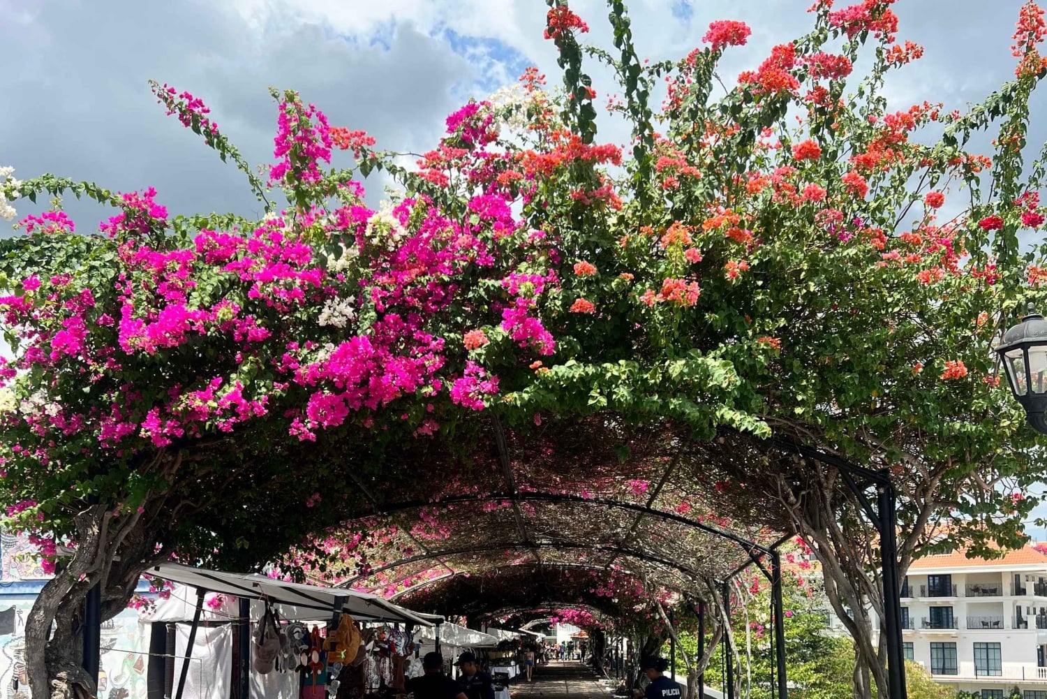 Il meglio di Panama: tour dal passato al presente