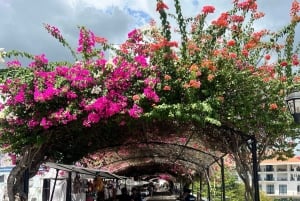 Il meglio di Panama: tour dal passato al presente