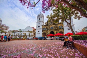 Panama: Miraflores, Canal, & Casco Viejo Private City Tour