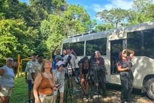 Panama: Wycieczka do dżungli małp i leniwców w Panamie