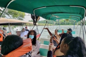 Panama: Monkey Island and Gamboa Rainforest Zipline Tour