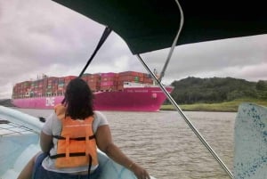 Panama: Monkey Island och Gamboa Rainforest Zipline Tour