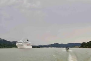 Panama : L'île aux singes et la forêt tropicale de Gamboa en tyrolienne