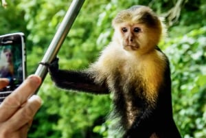 Panama: Monkey Island og Gamboa Rainforest Zipline Tour