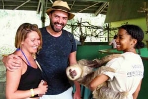 Panamá: Ilha dos Macacos e passeio de tirolesa pela floresta tropical de Gamboa