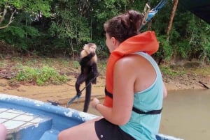 Panama: Monkey Island og Gamboa regnskogstur med zipline