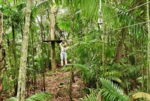 Panama: Monkey Island og Gamboa regnskogstur med zipline