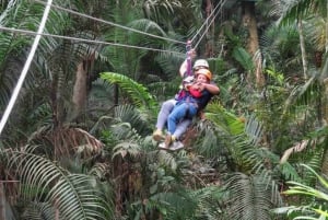 Panama: Monkey Island og Gamboa regnskogstur med zipline