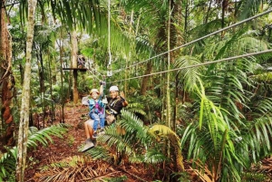 Panama: Monkey Island og Gamboa regnskogstur med zipline