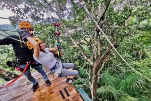 Panama: Monkey Island og Gamboa regnskogstur med zipline