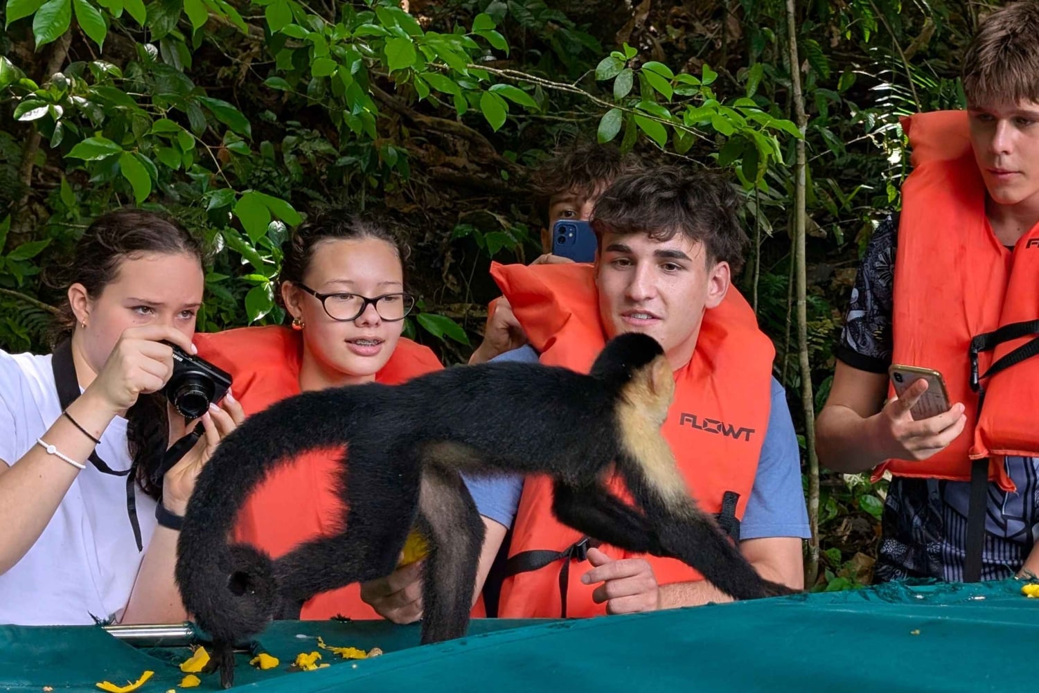 Panama: Monkey Island and Gatun Lake tour