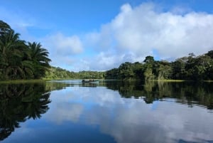 Panama: Monkey Island and Gatun Lake tour
