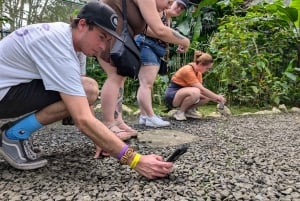 Panama: Monkey Island and Gatun Lake tour